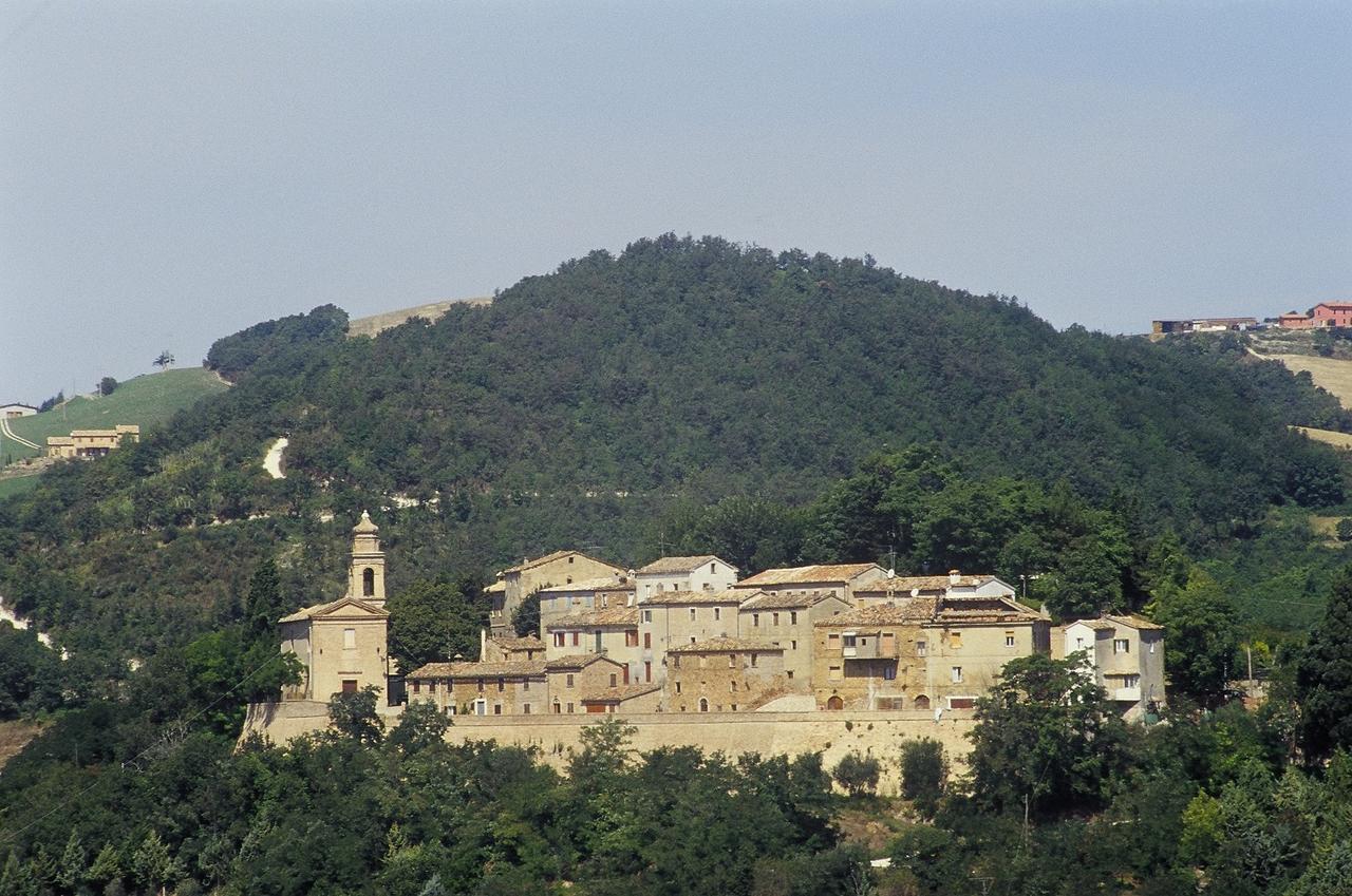 Agriturismo Pozzuolo Serrungarina Dış mekan fotoğraf