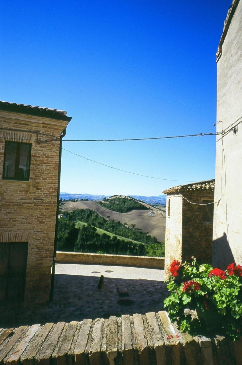 Agriturismo Pozzuolo Serrungarina Dış mekan fotoğraf