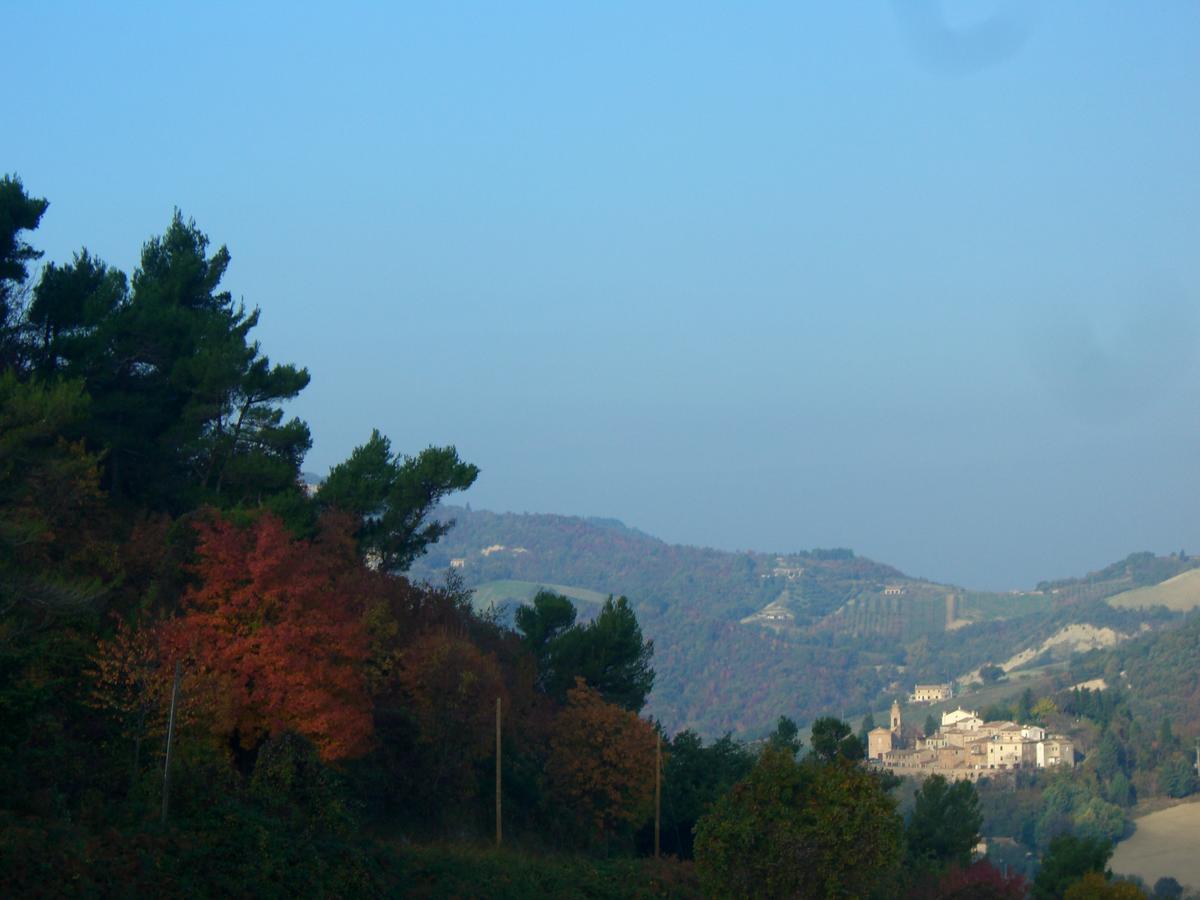 Agriturismo Pozzuolo Serrungarina Dış mekan fotoğraf