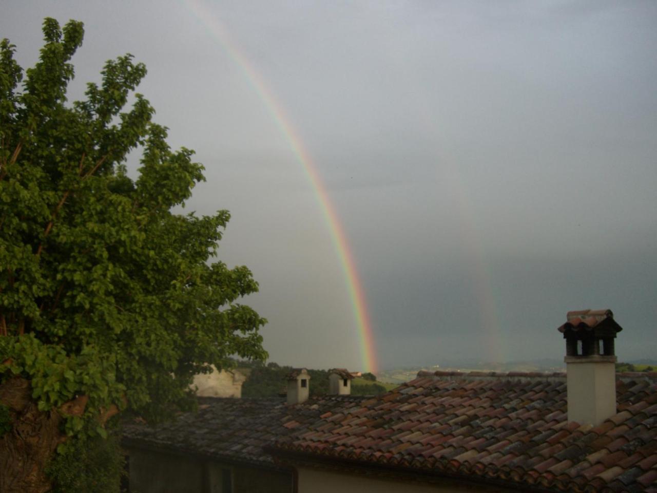 Agriturismo Pozzuolo Serrungarina Dış mekan fotoğraf