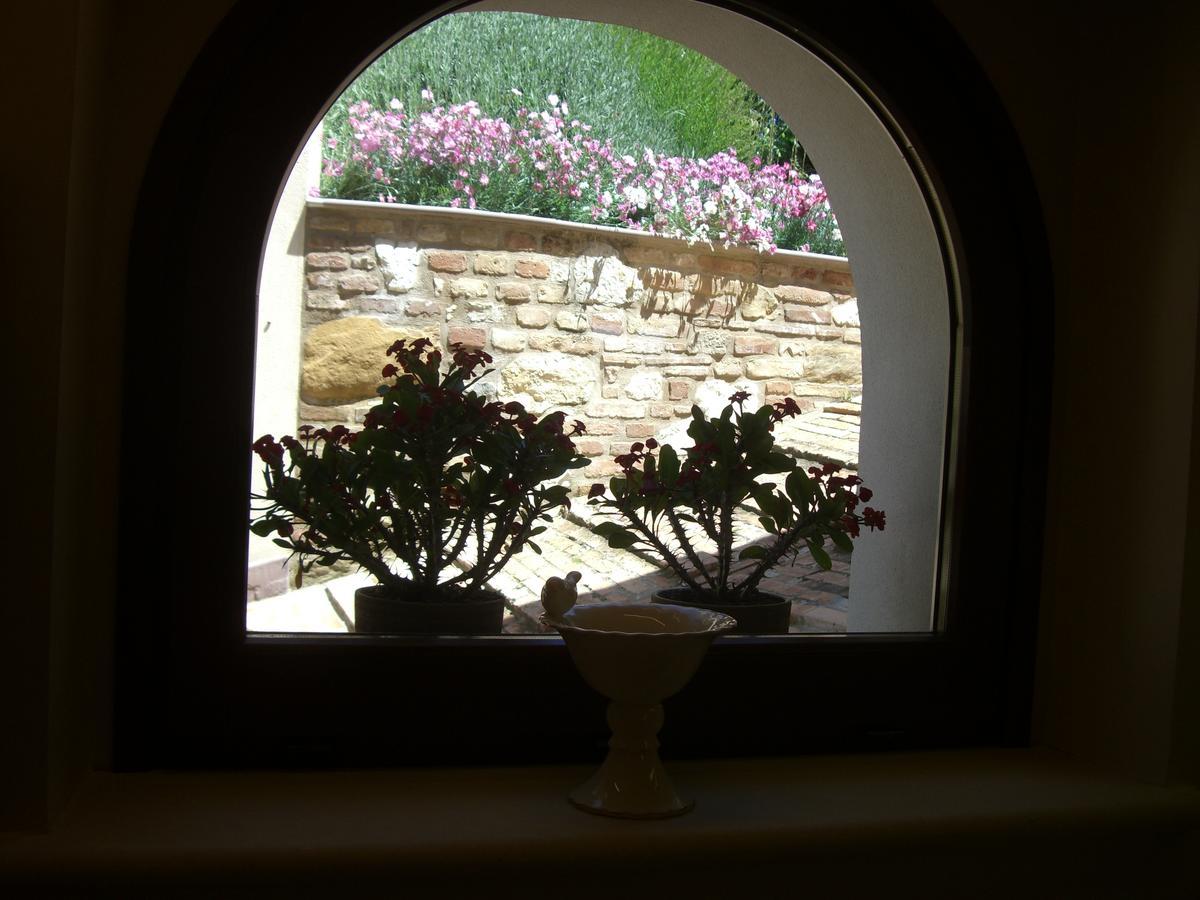 Agriturismo Pozzuolo Serrungarina Dış mekan fotoğraf