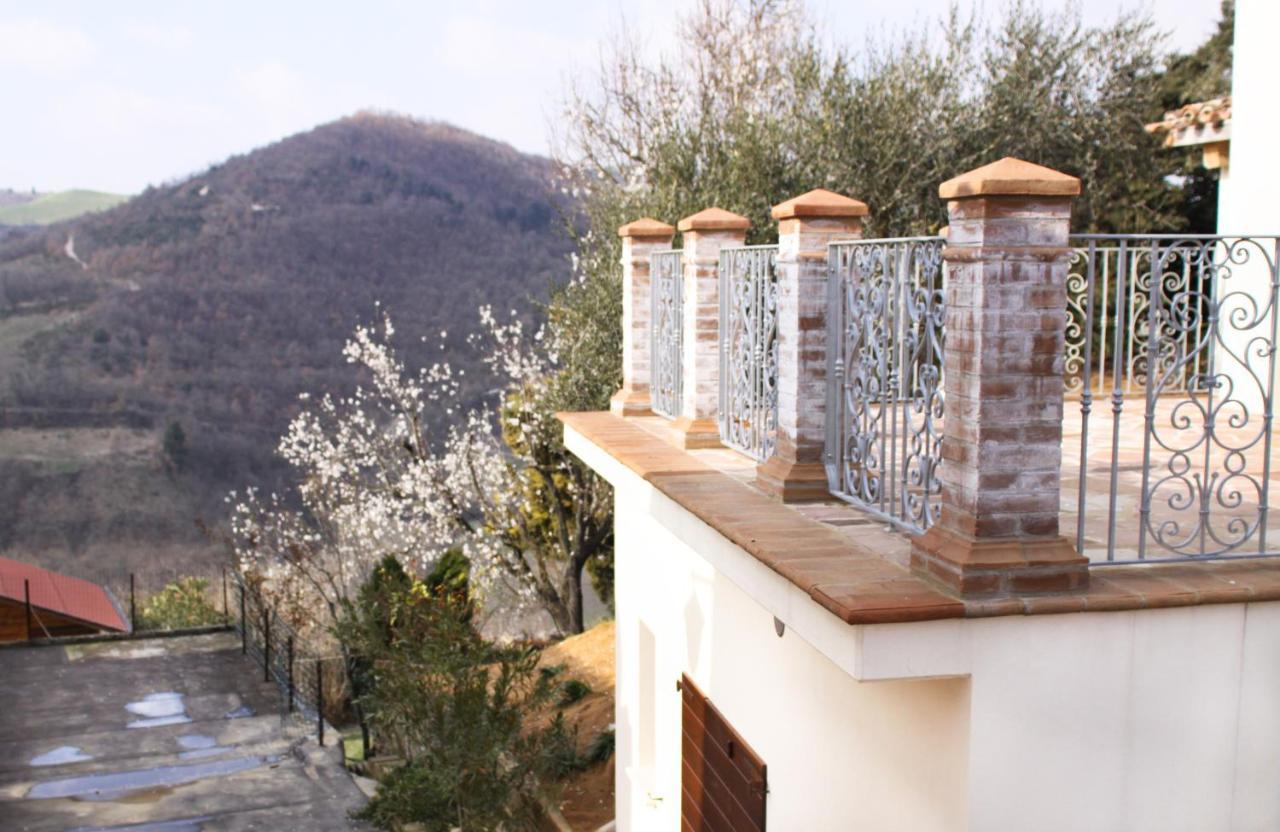 Agriturismo Pozzuolo Serrungarina Dış mekan fotoğraf
